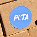 XRP Could Reach $5, But Ozak AI Prediction Is Catching the Market’s Eye