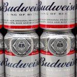 Giant beer brand closes 50-year-old brewery, selling facility