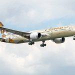 These airlines have started running flights out of Dubai