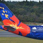 Airline in Chapter 11 bankruptcy now has ‘last chance’ to survive