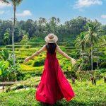 25-year-old travel platform shuts down forever, cancels trips