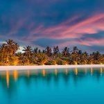 Another airline shuts down for summer, cancels all flights