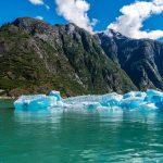 MSC and Royal Caribbean cancel all sailings to cruise destination over risk