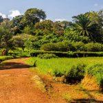 Two new countries ban certain travelers over health crisis