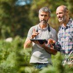 Major cannabis cultivation supply chain provider closes 12 stores