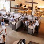 CBO predicts major SNAP shift for American workers