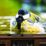There are ways to protect yourself from your spying TV
