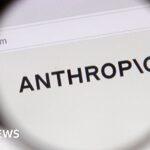 Anthropic blocks ‘malicious use’ of AI that could develop biological weapons