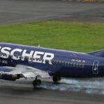 Another airline ends in bankruptcy, hundreds of flights off