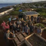 Building a Shield Against the Storm: Hawaii’s Push for Localized Disaster Defense